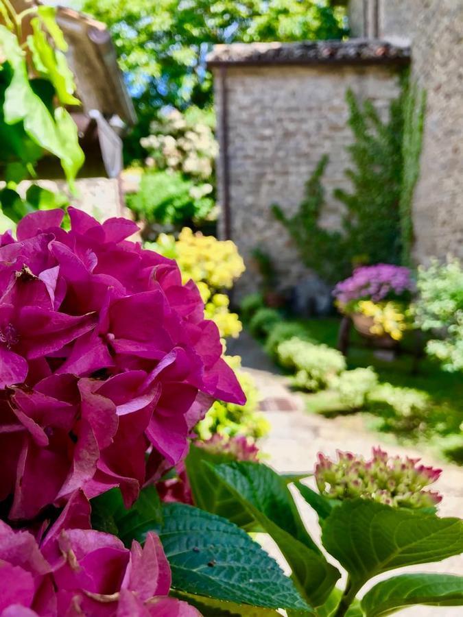 Agriturismo Biologico Castello Della Pieve Mercatello sul Metauro Luaran gambar